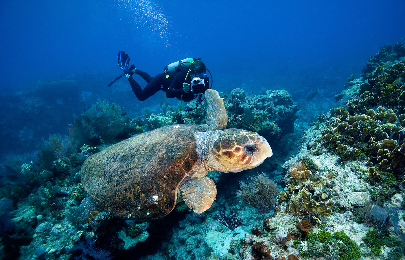 9 Top Water Activities To Try On Your Summer Vacation In Florida