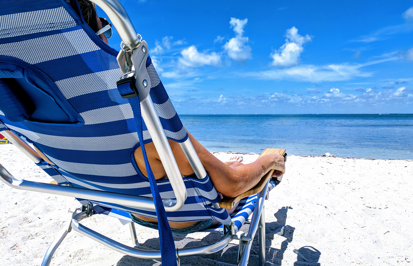 Experience Wildlife In A New Way